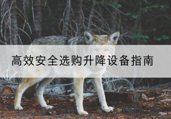 晋中升降货梯厂家推荐-*安全选购升降设备指南