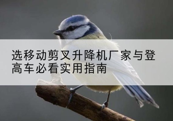 晋中电动升降机厂家-选移动剪叉升降机厂家与登高车必看实用指南
