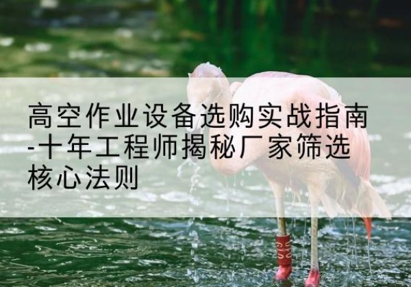 晋中剪叉式升降机厂家-高空作业设备选购实战指南-十年工程师揭秘厂家筛选核心法则